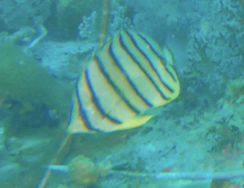 Batu Jahat