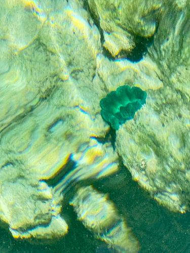 Barracuda Lake