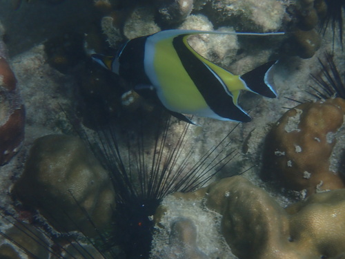 Koh Bida Nok