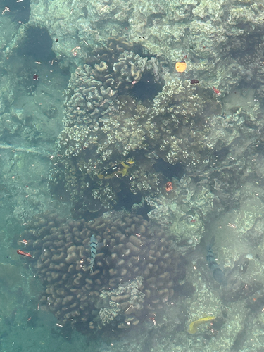 Kewalo Pipe