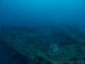 SS Panay